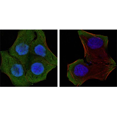 Валидация Affinity BF0602 - 5323