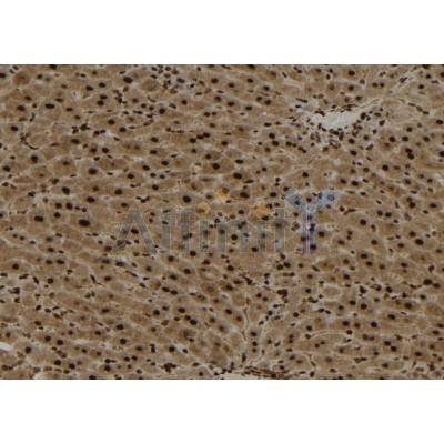 Валидация Affinity DF12182 - 6409