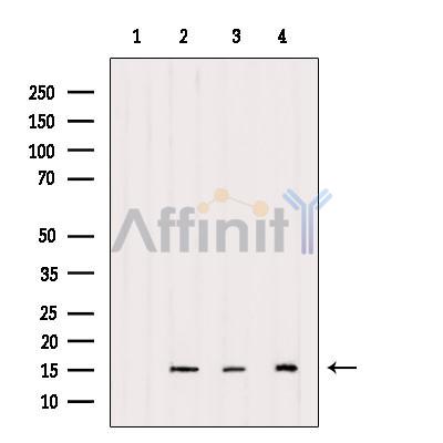 Валидация Affinity AF6187 - 3413