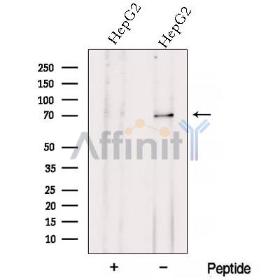Валидация Affinity DF12802 - 7497