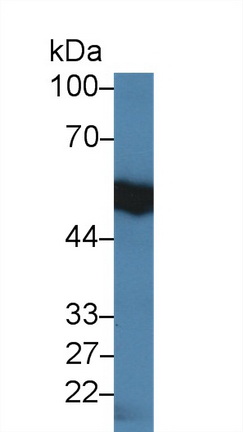 14363