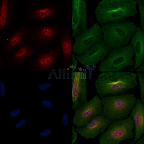 Валидация Affinity DF6685 - 18182