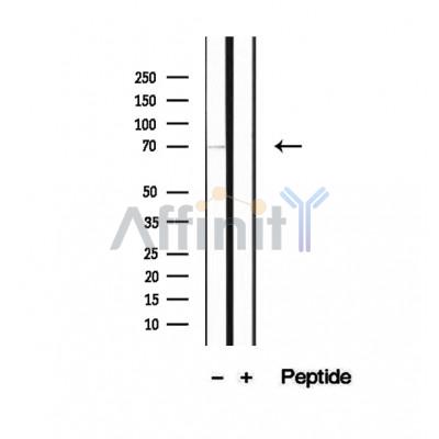 Валидация Affinity DF12444 - 6970