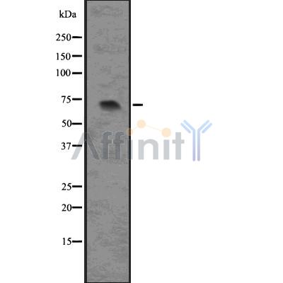 Валидация Affinity DF7539 - 19287