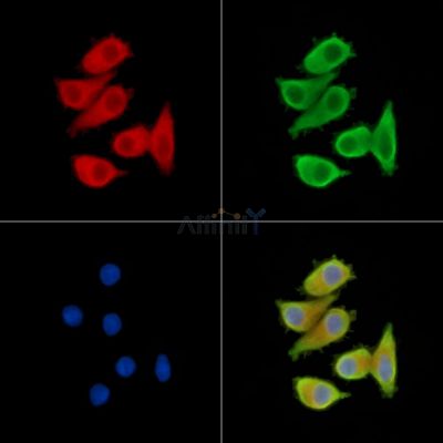 Валидация Affinity DF14377 - 10300