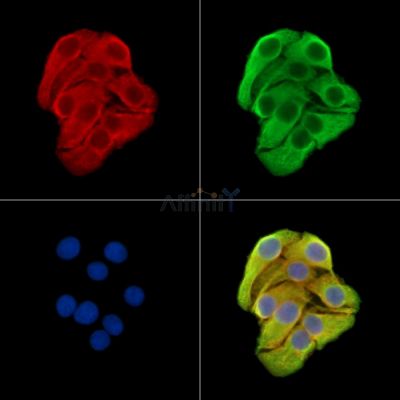 Валидация Affinity DF15233 - 11508