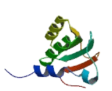 G Protein Coupled Receptor 135 (GPR135) G Protein Coupled Receptor 135 (GPR135)