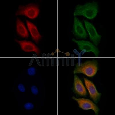 Валидация Affinity DF2302 - 12864