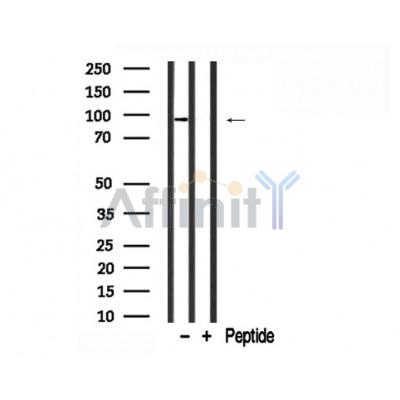Валидация Affinity AF7721 - 4414