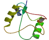 C-Type Lectin Domain Family 2, Member A (CLEC2A) C-Type Lectin Domain Family 2, Member A (CLEC2A)