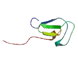 Protein Kinase C Gamma (PKCg) Protein Kinase C Gamma (PKCg)