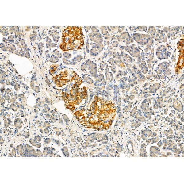 Валидация Affinity DF2953 - 13695