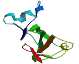 Bone Morphogenetic Protein Receptor 2 (BMPR2) Bone Morphogenetic Protein Receptor 2 (BMPR2)