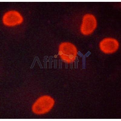 Валидация Affinity AF7005 - 4138