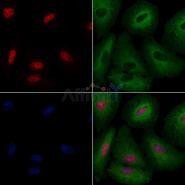 Валидация Affinity DF3348 - 14213