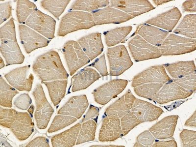 Валидация Affinity DF14382 - 10307