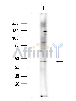 Валидация Affinity DF16102 - 12679