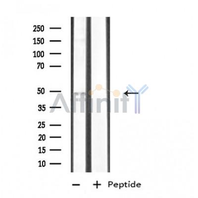 Валидация Affinity DF4774 - 16490