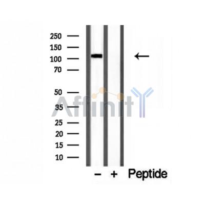 Валидация Affinity DF12193 - 6432