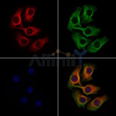 Валидация Affinity DF7905 - 19731