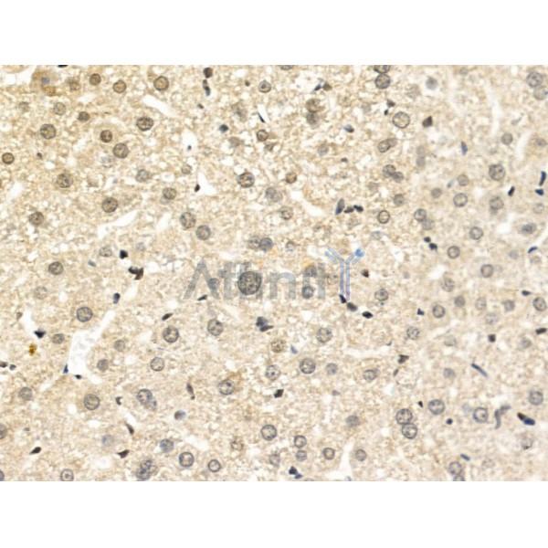 Валидация Affinity AF5455 - 3108