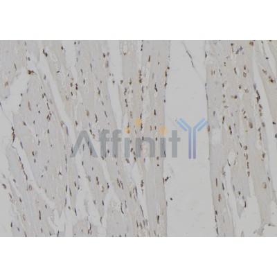 Валидация Affinity DF7302 - 18987