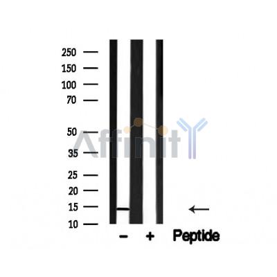 Валидация Affinity AF4659 - 2274