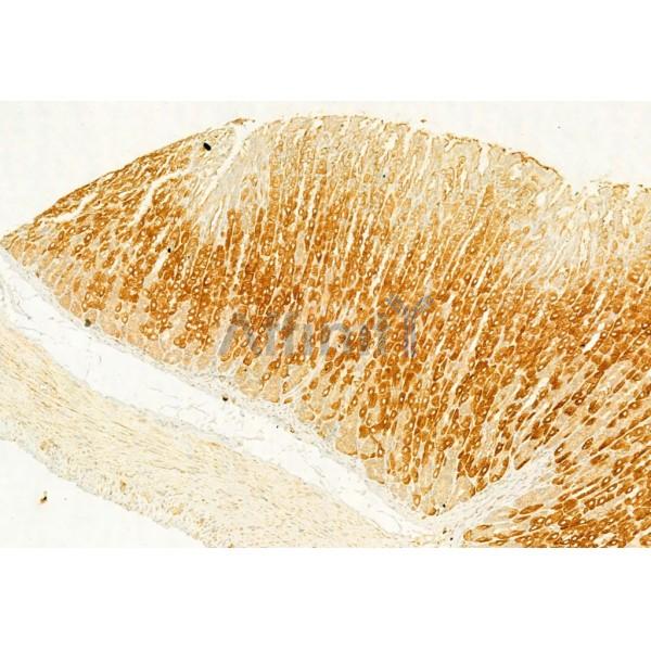 Валидация Affinity AF5468 - 3129