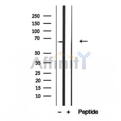 Валидация Affinity DF12372 - 6828