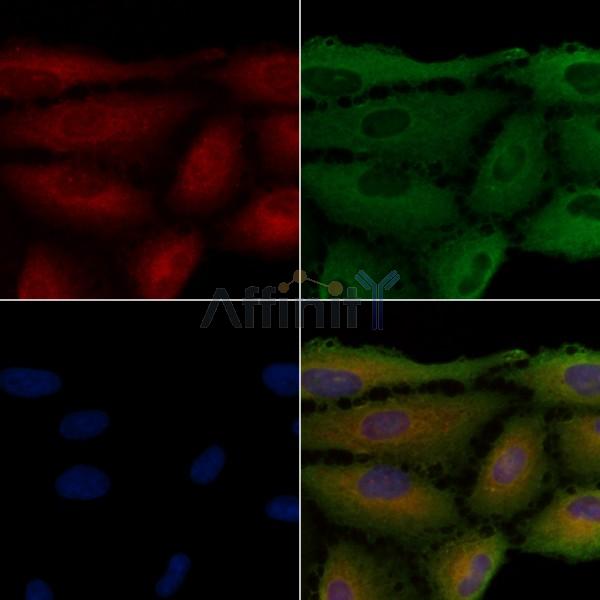 Валидация Affinity DF4510 - 16071