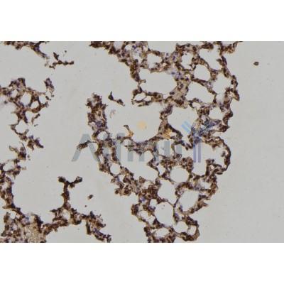 Валидация Affinity AF6273 - 3527