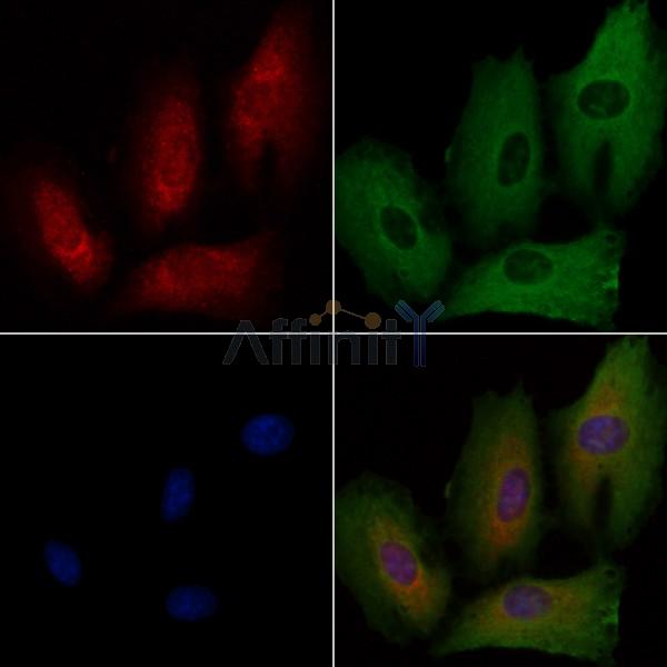 Валидация Affinity DF4411 - 15905