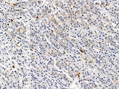 Валидация Affinity DF2302 - 12863