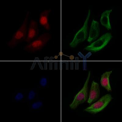 Валидация Affinity DF9493 - 22111