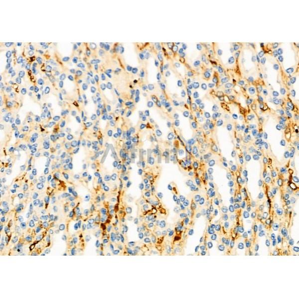 Валидация Affinity DF12314 - 6701