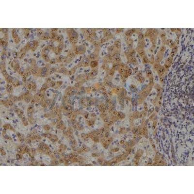 Валидация Affinity DF2335 - 12919