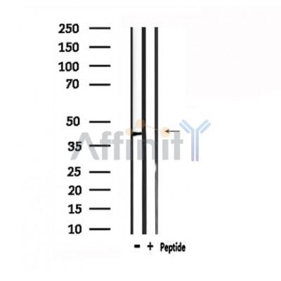 Валидация Affinity DF4910 - 16713