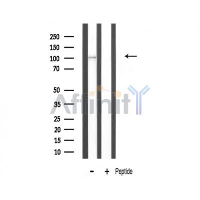 Валидация Affinity DF3112 - 13879