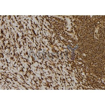 Валидация Affinity DF7272 - 18939