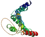 Neuropeptide Y Receptor Y6 (NPY6R) Neuropeptide Y Receptor Y6 (NPY6R)
