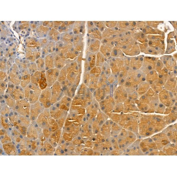 Валидация Affinity DF13322 - 8492