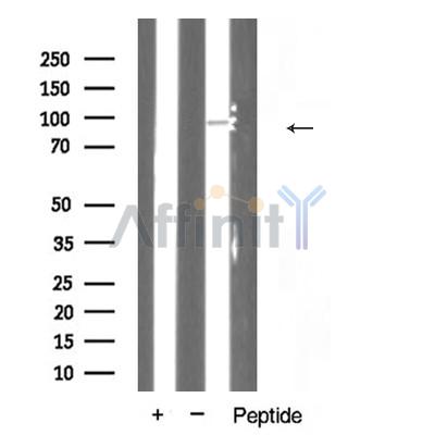 Валидация Affinity AF5368 - 2985