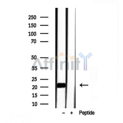 Валидация Affinity DF12053 - 6105