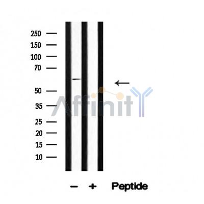 Валидация Affinity AF4643 - 2255
