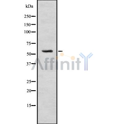 Валидация Affinity DF8722 - 20729