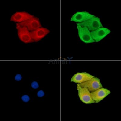 Валидация Affinity DF15457 - 11814