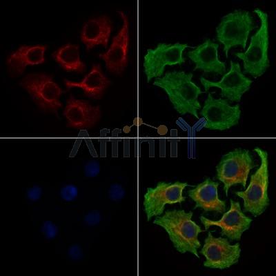 Валидация Affinity DF7790 - 19605