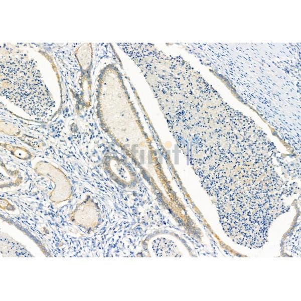 Валидация Affinity DF3526 - 14462