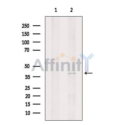 Валидация Affinity DF7164 - 18813