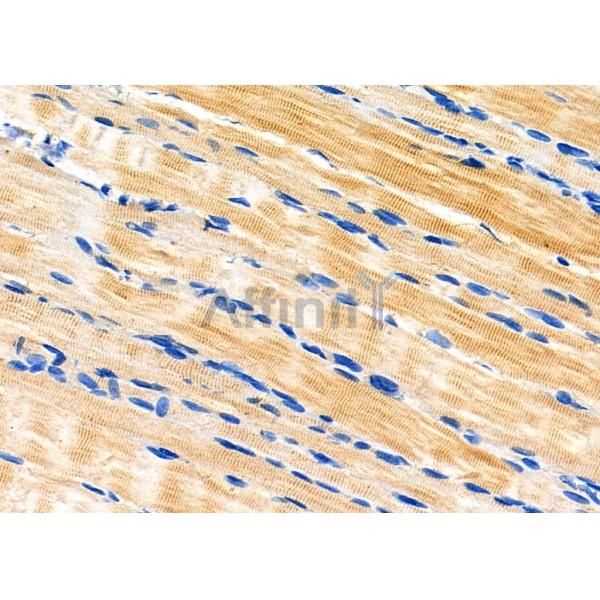 Валидация Affinity DF3752 - 14830